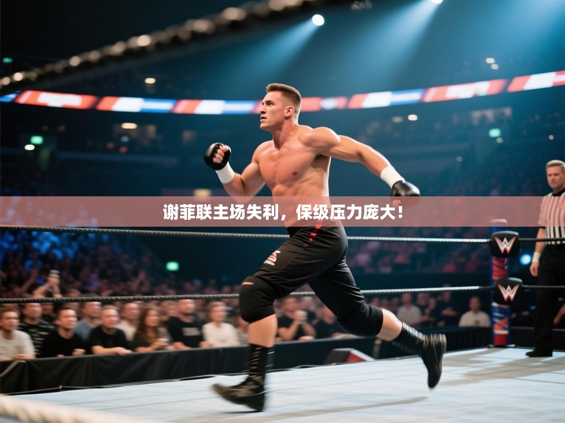 开云体育热门赛事直达-谢菲联主场失利，保级压力庞大！  第1张