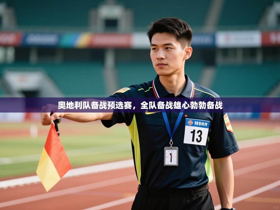 开云体育app评价-奥地利队备战预选赛，全队备战雄心勃勃备战  第4张