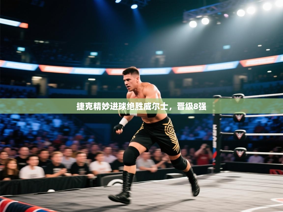 开云体育在线下载-捷克精妙进球绝胜威尔士，晋级8强  第1张