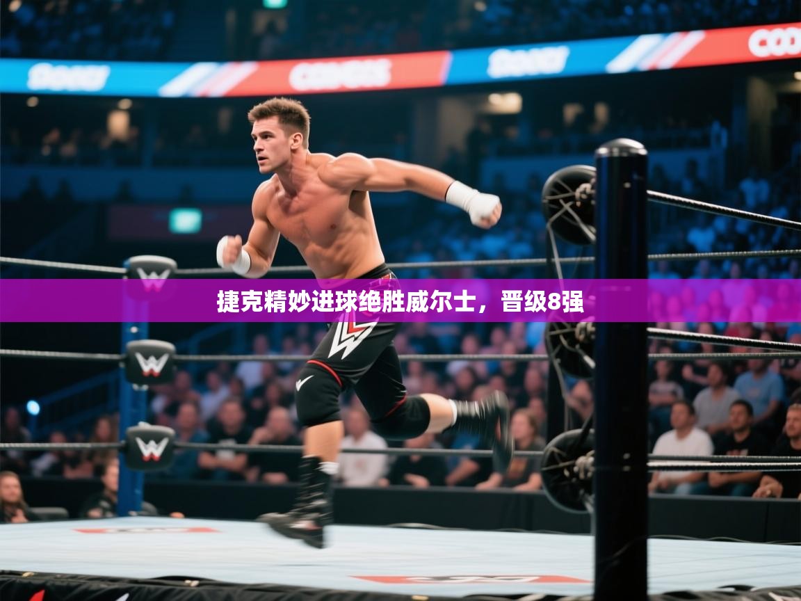 开云体育在线下载-捷克精妙进球绝胜威尔士，晋级8强  第4张