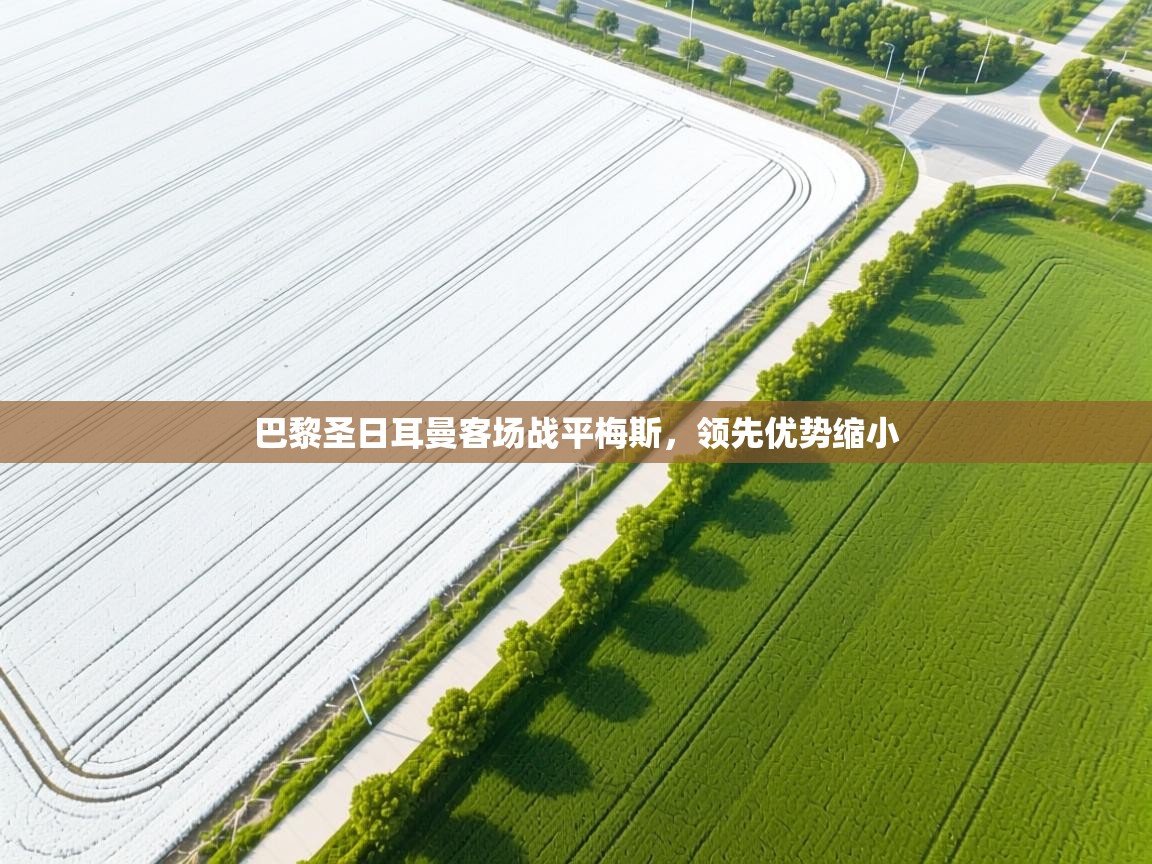 开云体育在线-巴黎圣日耳曼客场战平梅斯，领先优势缩小  第3张