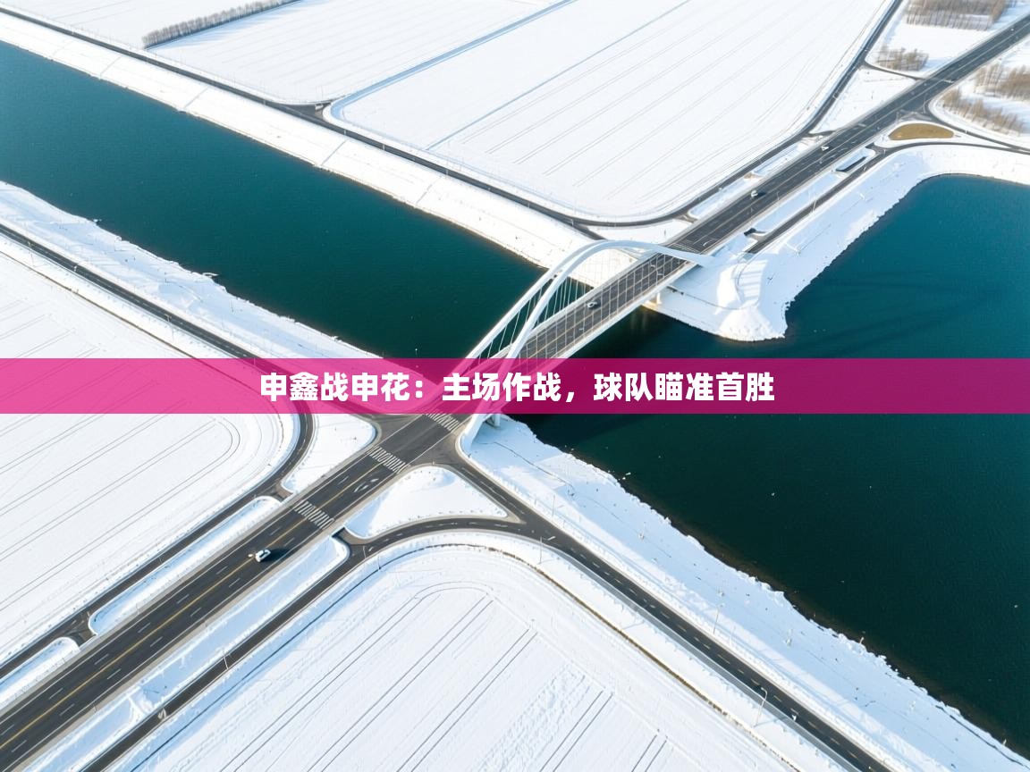 开云体育入口邀请码-申鑫战申花：主场作战，球队瞄准首胜