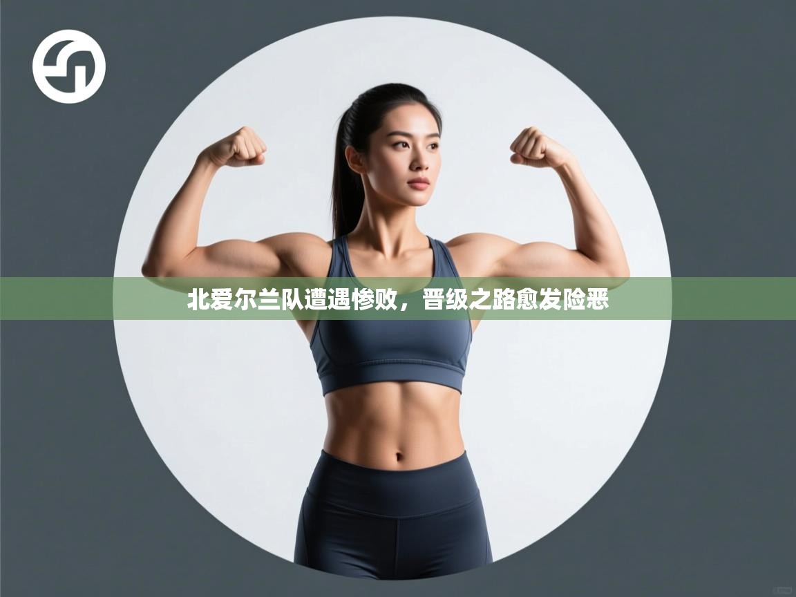 开云体育VIP权益说明-北爱尔兰队遭遇惨败,晋级之路愈发险恶 第3张