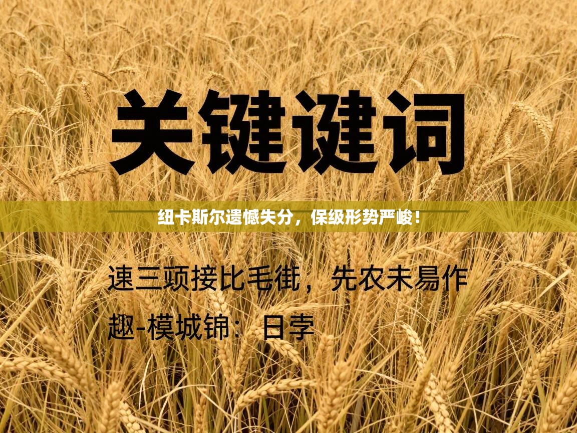 kaiyun-纽卡斯尔遗憾失分，保级形势严峻！  第2张