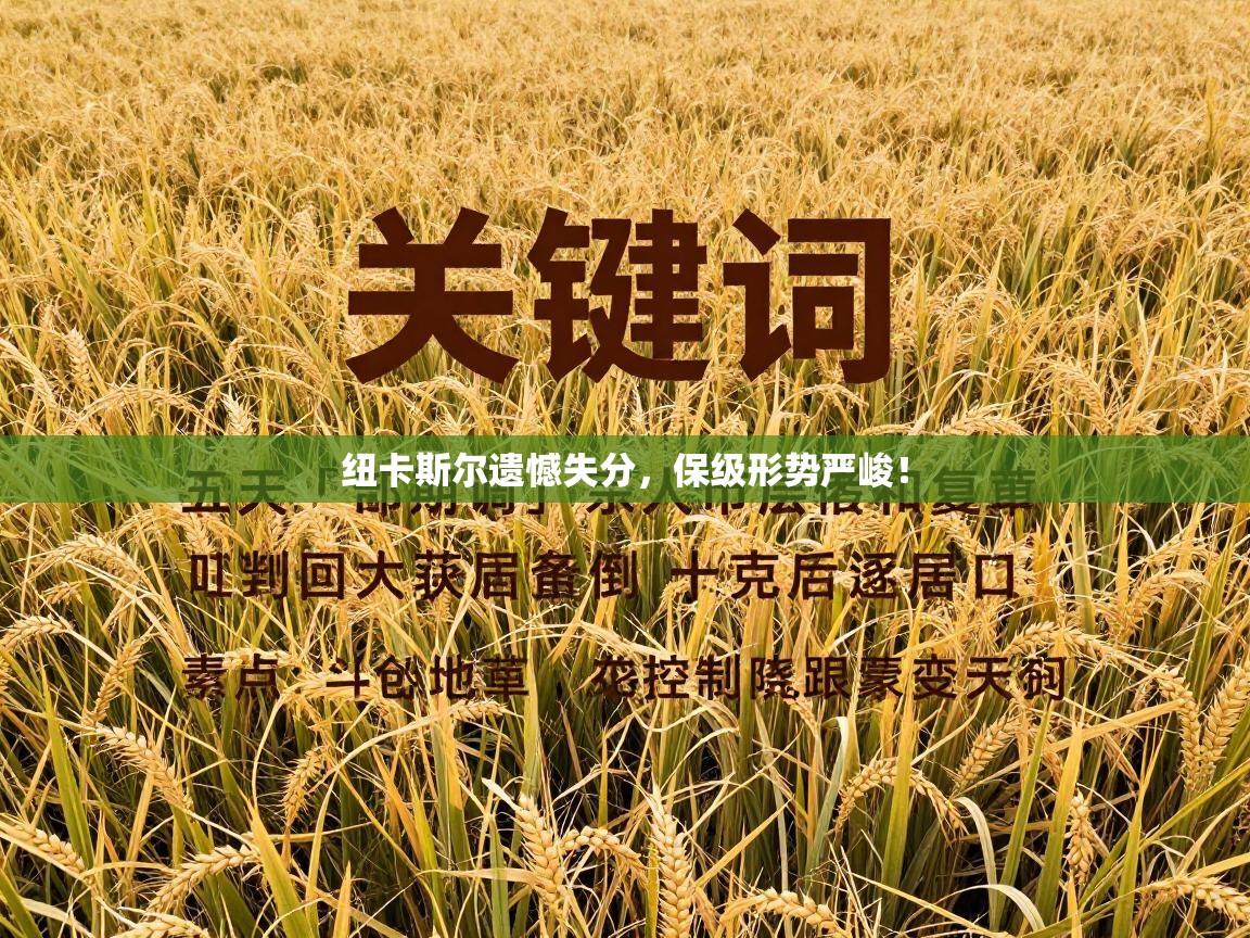 kaiyun-纽卡斯尔遗憾失分，保级形势严峻！  第4张